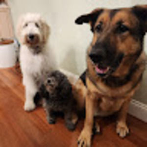 Meet your Posher, Boochazz